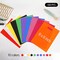 100 PCS Plastic Party Favor Bags Small Gift Bags, 6" x 8" Goodie Bags for Kids, Rainbow Party Gift Bags Bulk with Handle for Kids Birthday Party, Easter, Christmas, Halloween, 10 Colors